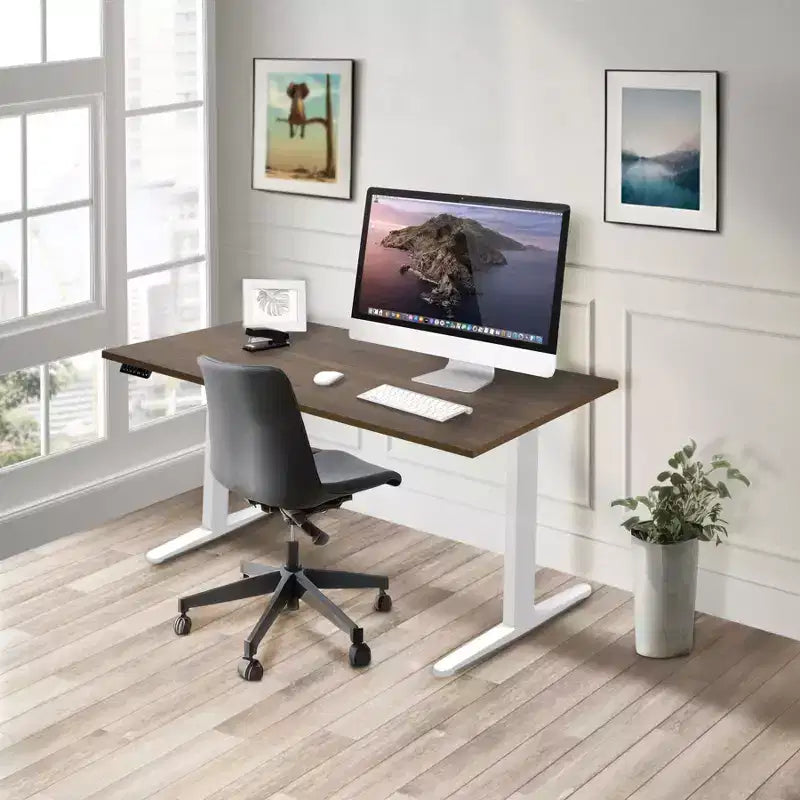 Dual Motor Electric Standing Desk with 55" Tabletop, White