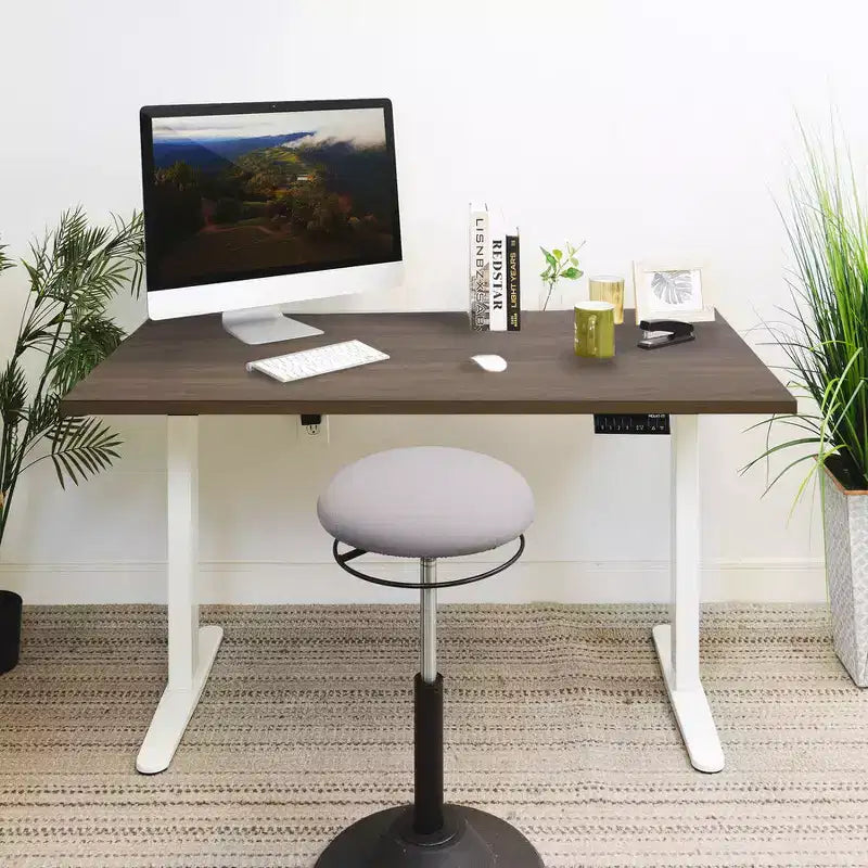 Dual Motor Electric Standing Desk with 55" Tabletop, White