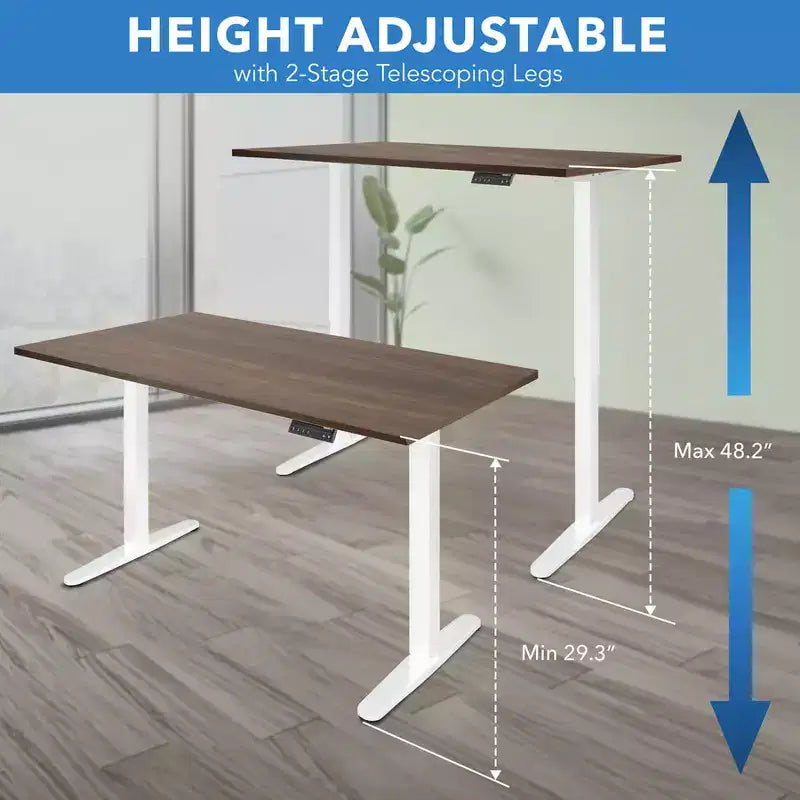 Dual Motor Electric Standing Desk with 55" Tabletop, White